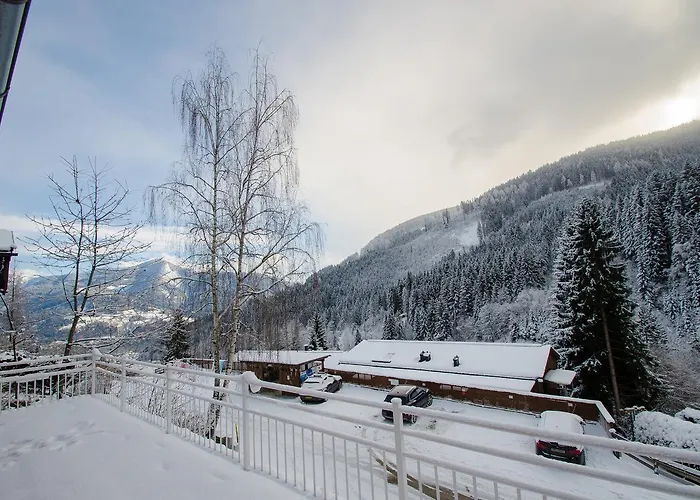 Summer & Winter Fun By In One Incl Summer Card * 滨湖采尔